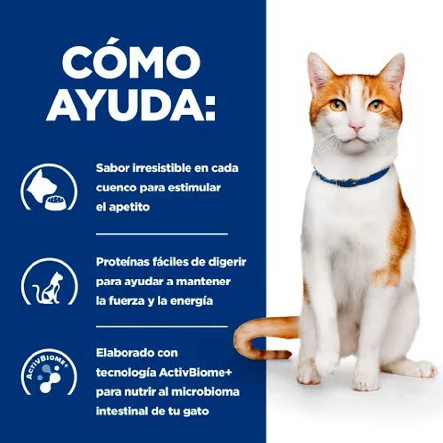 1.5 kg Hill's Prescription Diet ON-Care Pollo pienso para gatos, , large indicador imagen numero 2