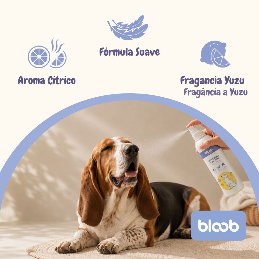 Bloob Colonia Refrescante Yuzu para perros, , large Imagen numero 3