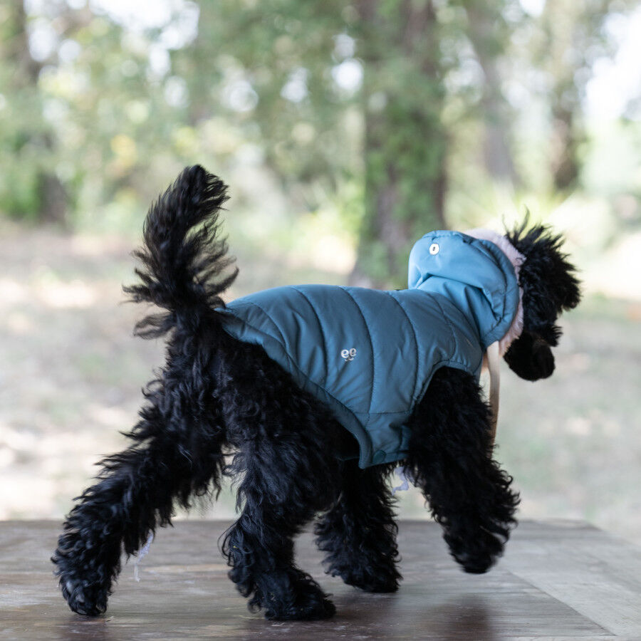 Freedog Abrigo Impermeable Iceguard Azul Cielo para perros, , large indicador imagen numero 3
