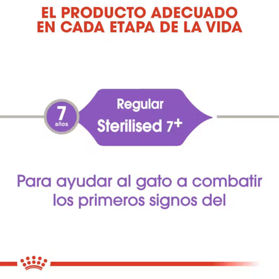 3.5 kg Royal Canin Adult 7+ Regular Sterilised pienso para gatos, , large indicador imagen numero 4