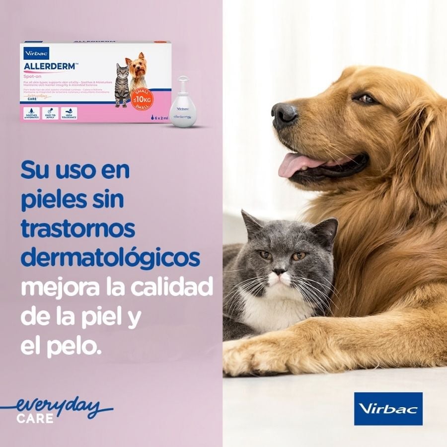 Virbac Allerderm spot on Pipetas dermatol&oacute;gicas para el cuidado de la piel Perros y Gatos., , large indicador imagen numero 7
