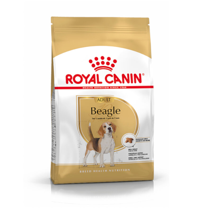 12 kg Royal Canin Adult Beagle pienso para perros, , large indicador imagen numero 1