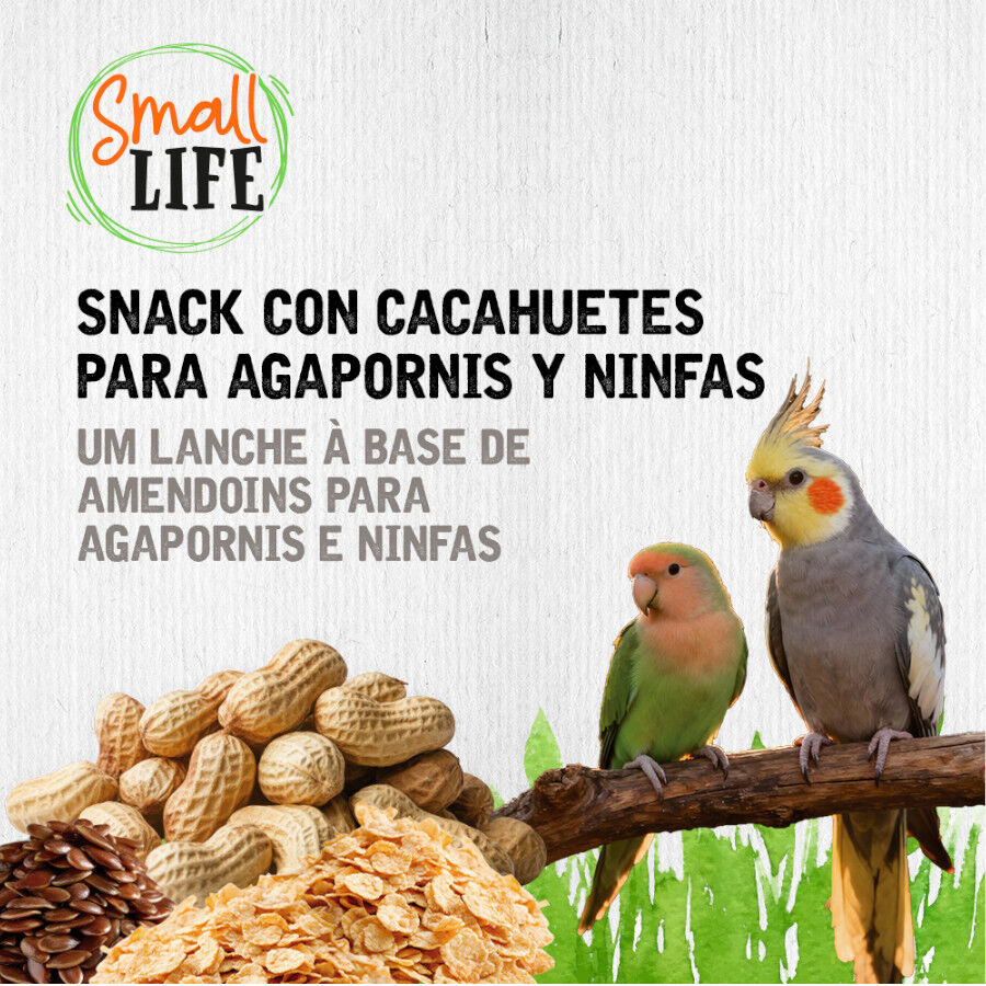2 barritas Small Life Barritas Snack con cacahuetes para agapornis y ninfas, , large indicador imagen numero 4