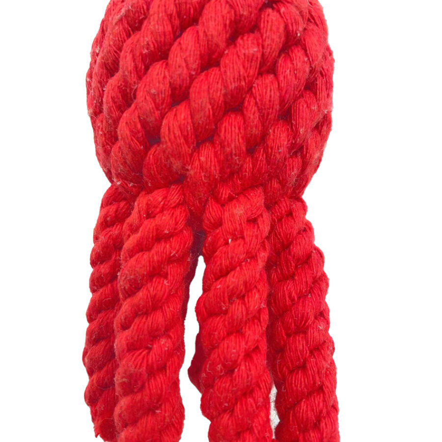 Tootoy! Comfort Octopus & Sea juguete de cuerda para perros, , large Imagen numero 3