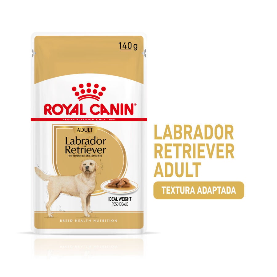 140 g Royal Canin Labrador Sobres para perros, , large Imagen numero 2