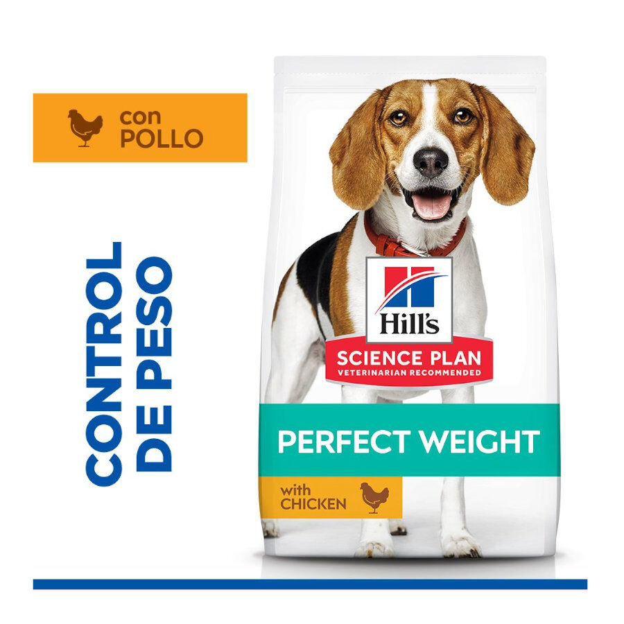 12 kg Hill's Science Plan Perfect Weight Adult Medium Pollo pienso para perros, , large indicador imagen numero 2