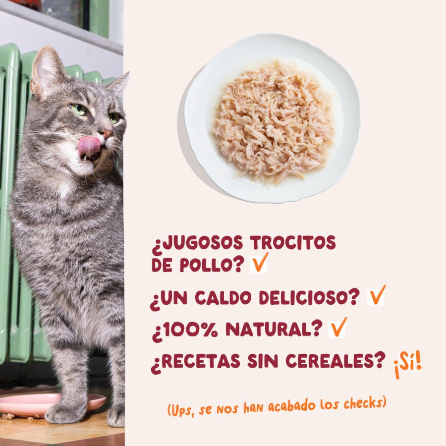 70 g Edgard & Cooper Filetes de Pollo Lata para gatos, , large indicador imagen numero 4