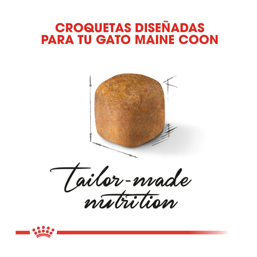 10 kg Royal Canin Kitten Maine Coon pienso para gatos, , large indicador imagen numero 5