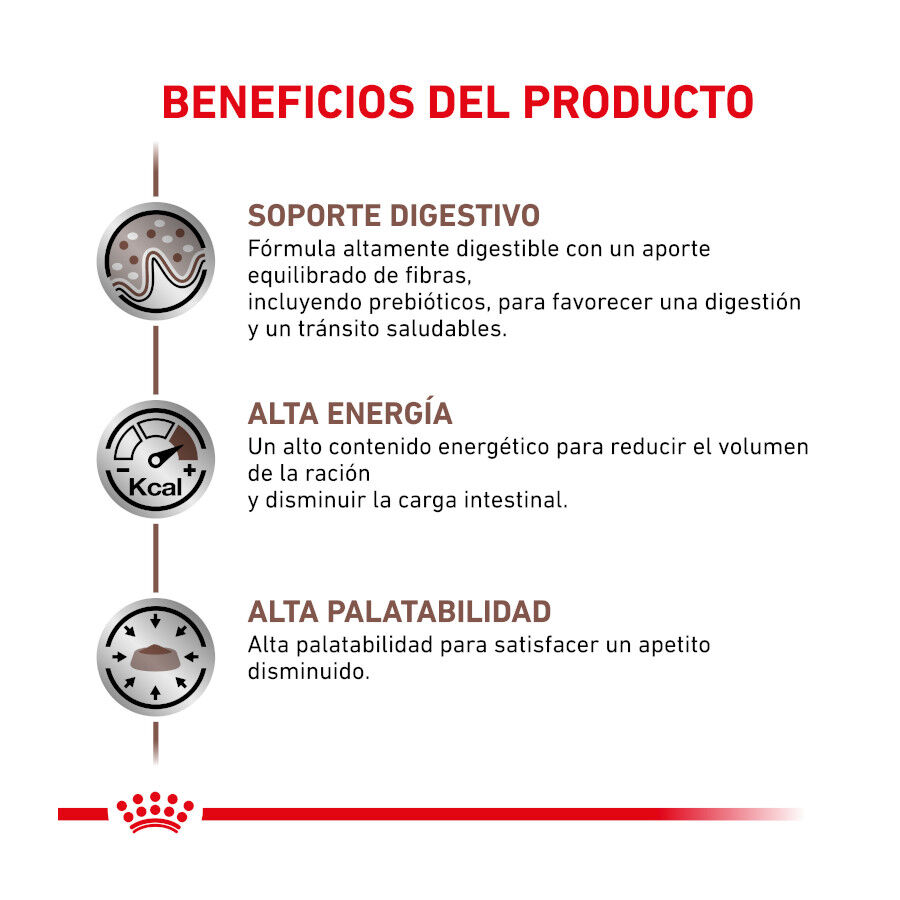 12 sobres x 85 g Royal Canin Veterinary Gastrointestinal sobre en salsa para gatos, , large indicador imagen numero 4