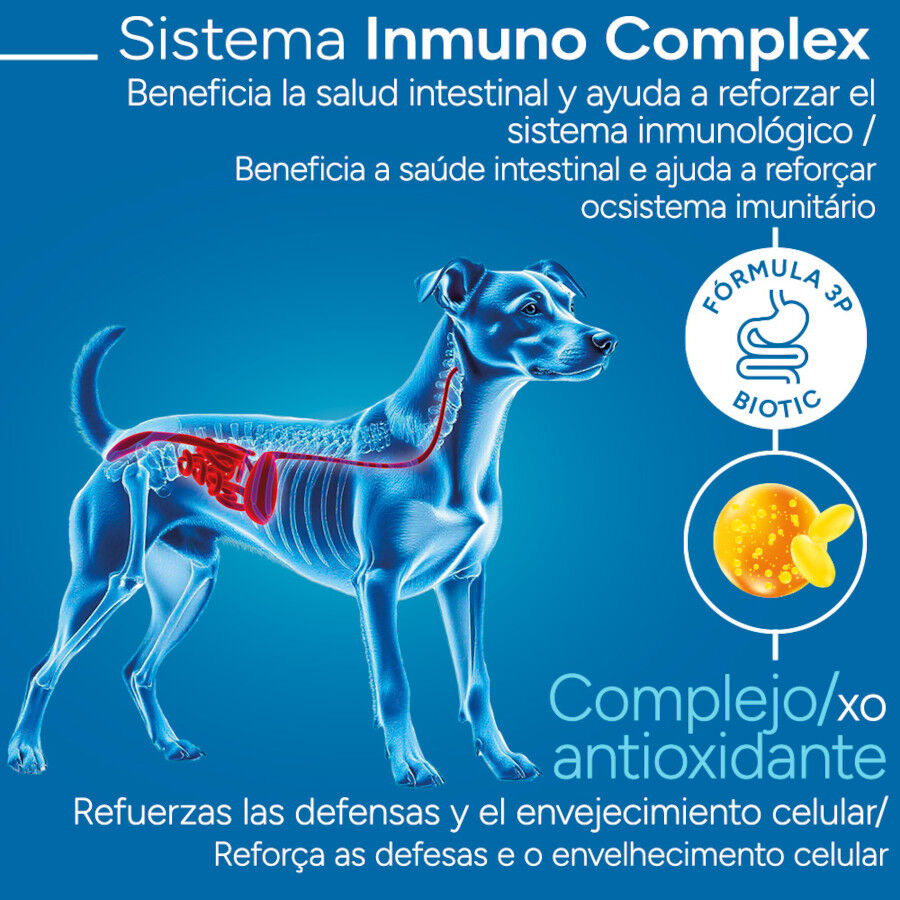 3 kg Criadores Cient&iacute;fico Adulto Mini Pienso Pollo para perros, , large Imagen numero 3