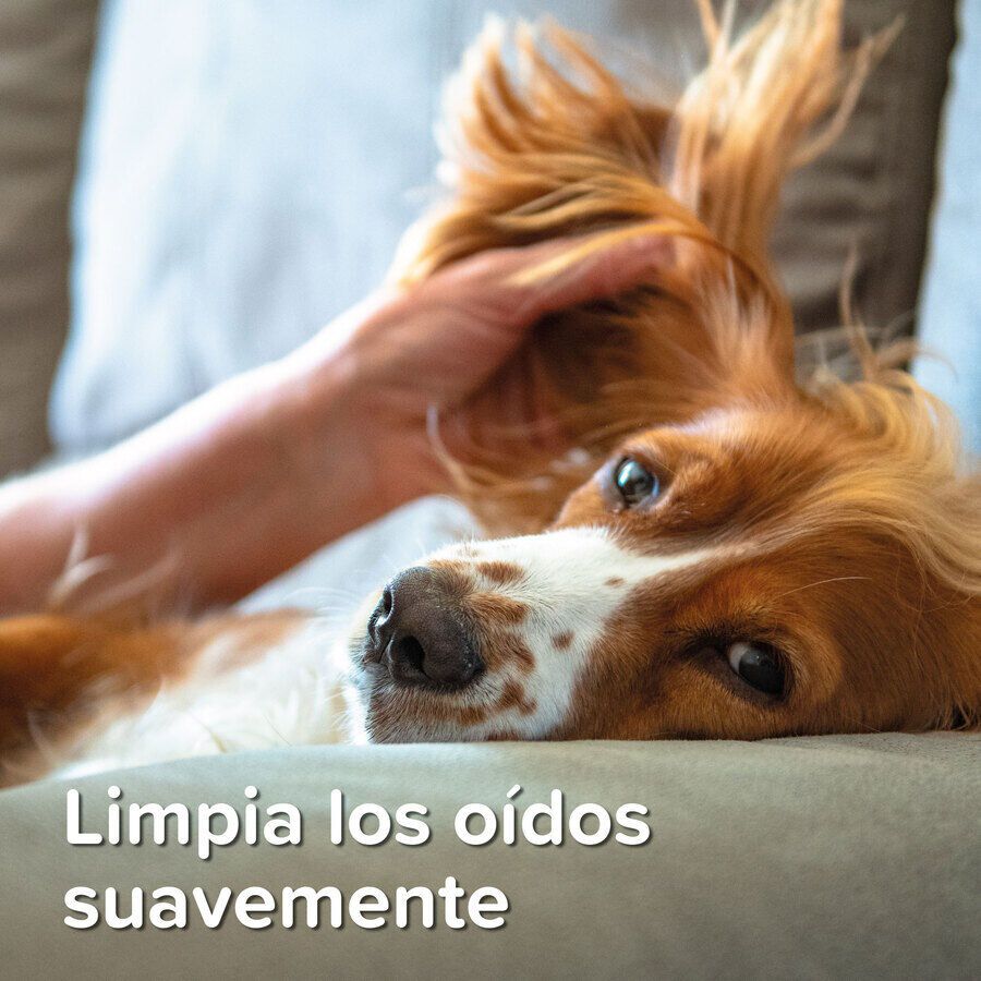 Beaphar Limpiador de O&iacute;dos para perros y gatos, , large indicador imagen numero 6