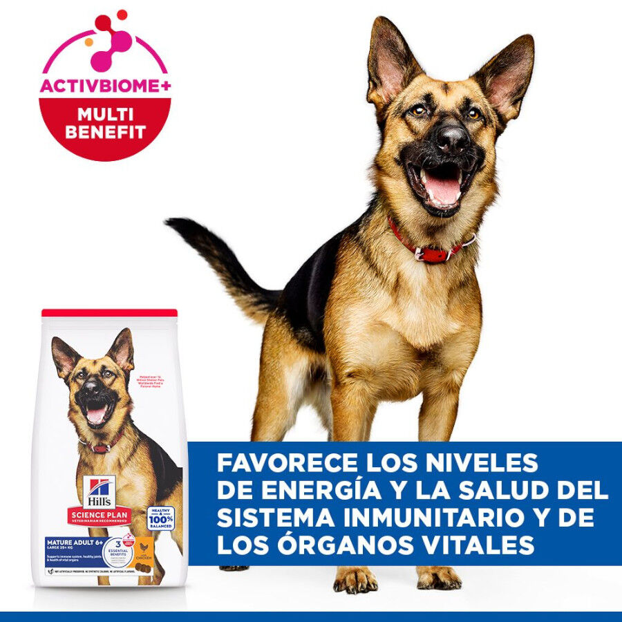 18 kg Hill's Science Plan Mature Adult Large Pollo pienso para perros, , large indicador imagen numero 4