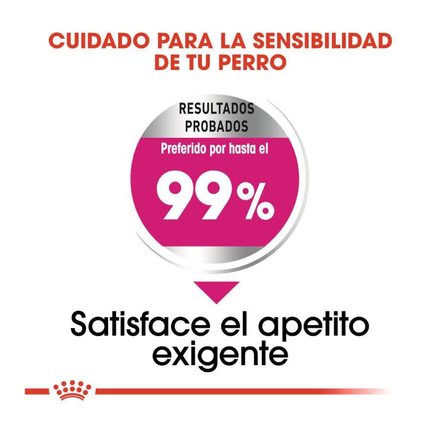 3 kg Royal Canin Exigent Mini pienso para perros, , large indicador imagen numero 6