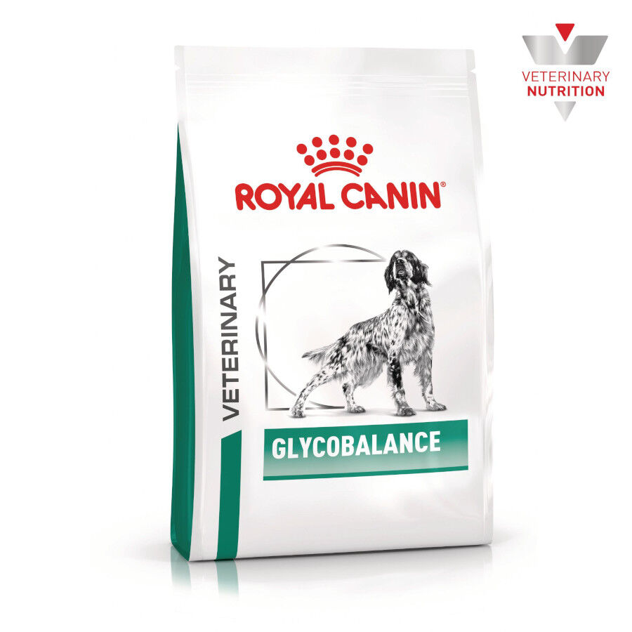 Royal Canin Veterinary Glycobalance Pienso para perros