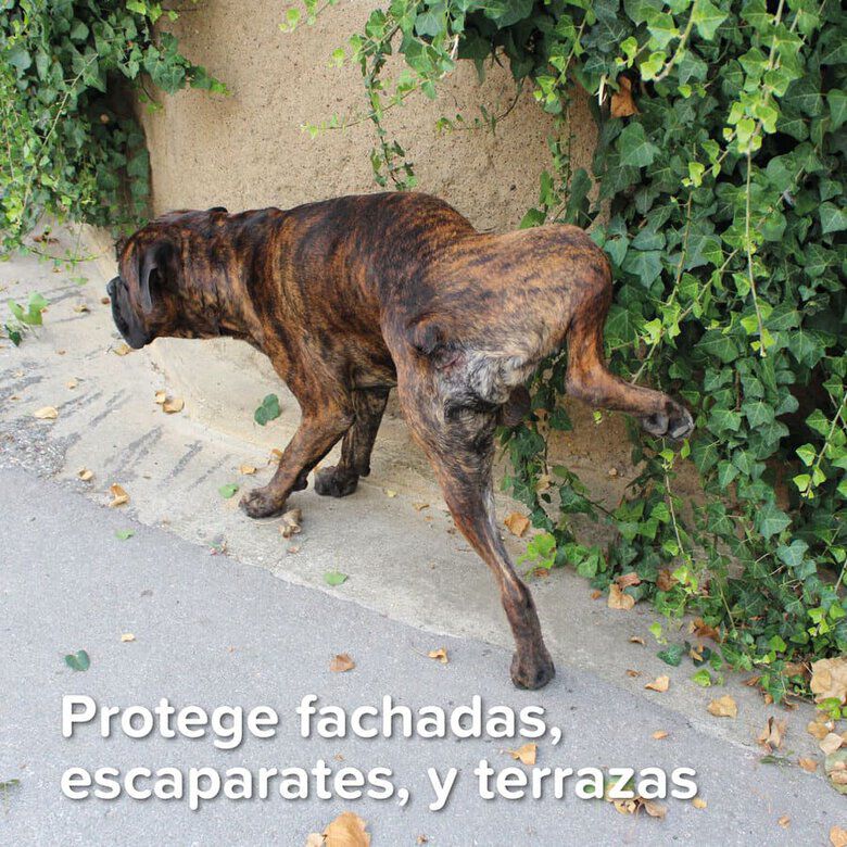 Beaphar Spray Educador para Exterior para perros y gatos, , large indicador imagen numero 4