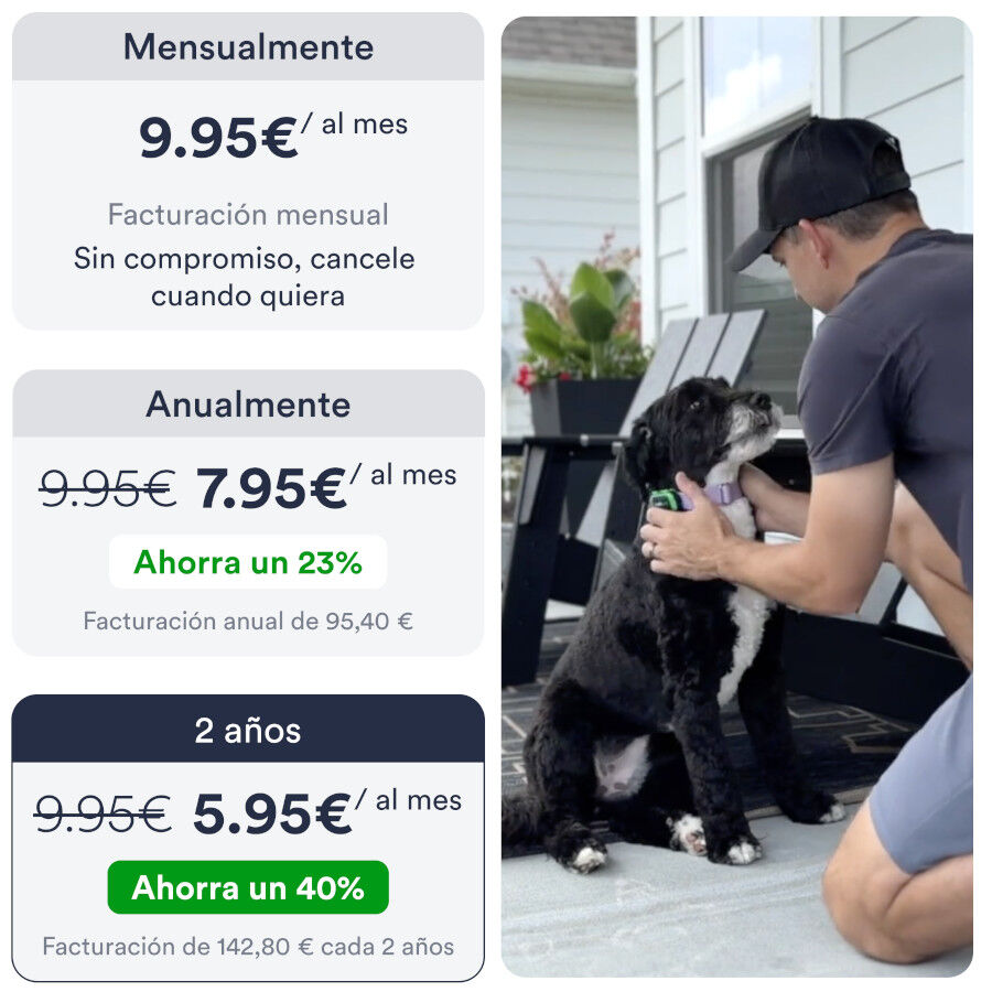 Trackimo Localizador GPS Petloc8 4G para perros y gatos, , large indicador imagen numero 8