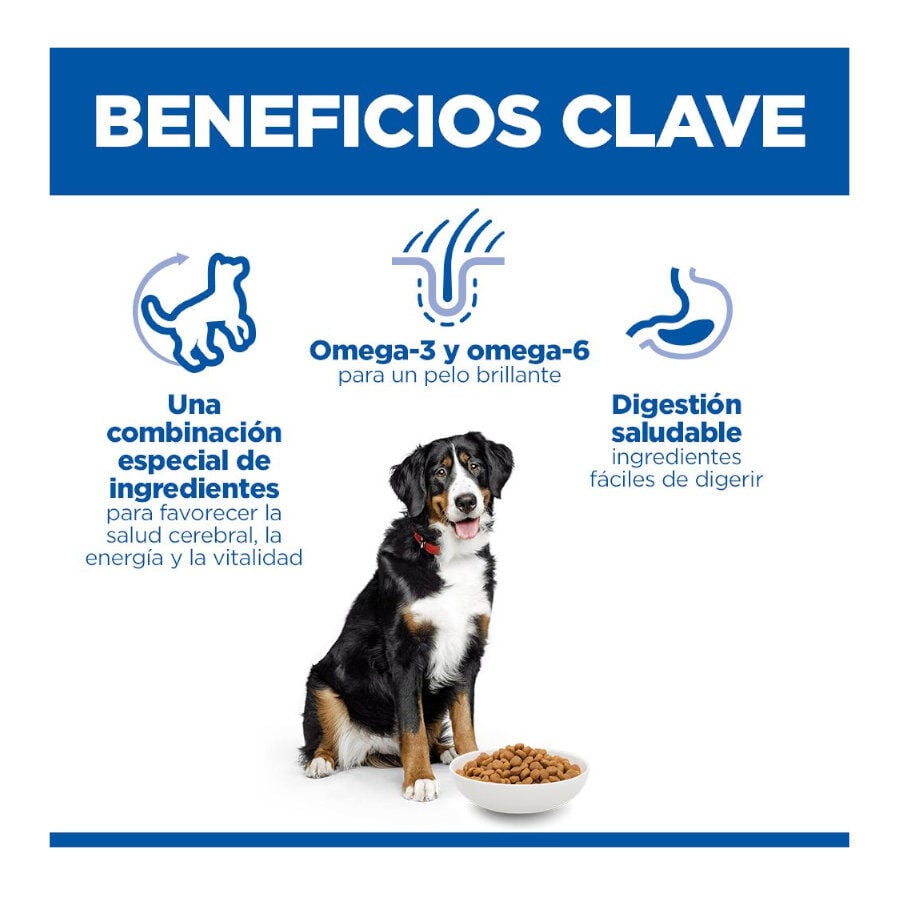 14 kg Hill's Science Plan Youthful vitality Large pienso para perros, , large indicador imagen numero 3
