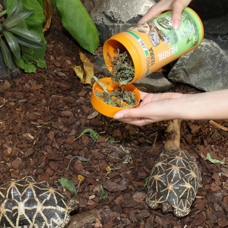 JBL Proterra Herbil alimento para tortugas, , large indicador imagen numero 6