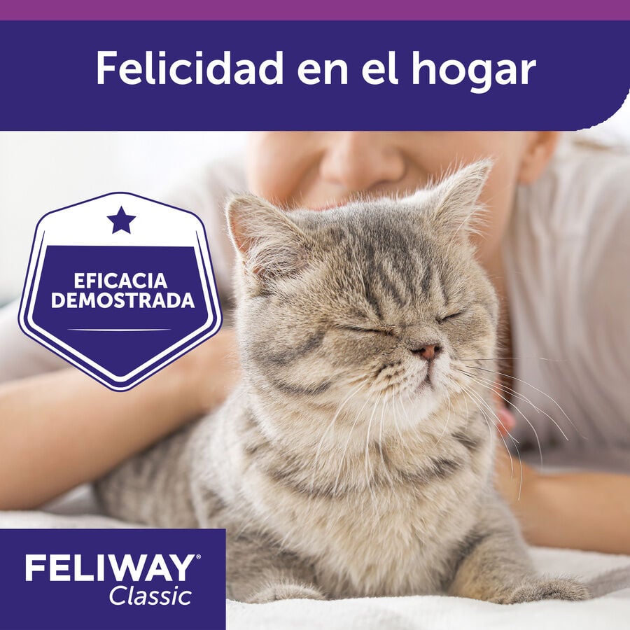 Feliway Classic Difusor y/o Recambio Tranquilizante para gatos, , large Imagen numero 8