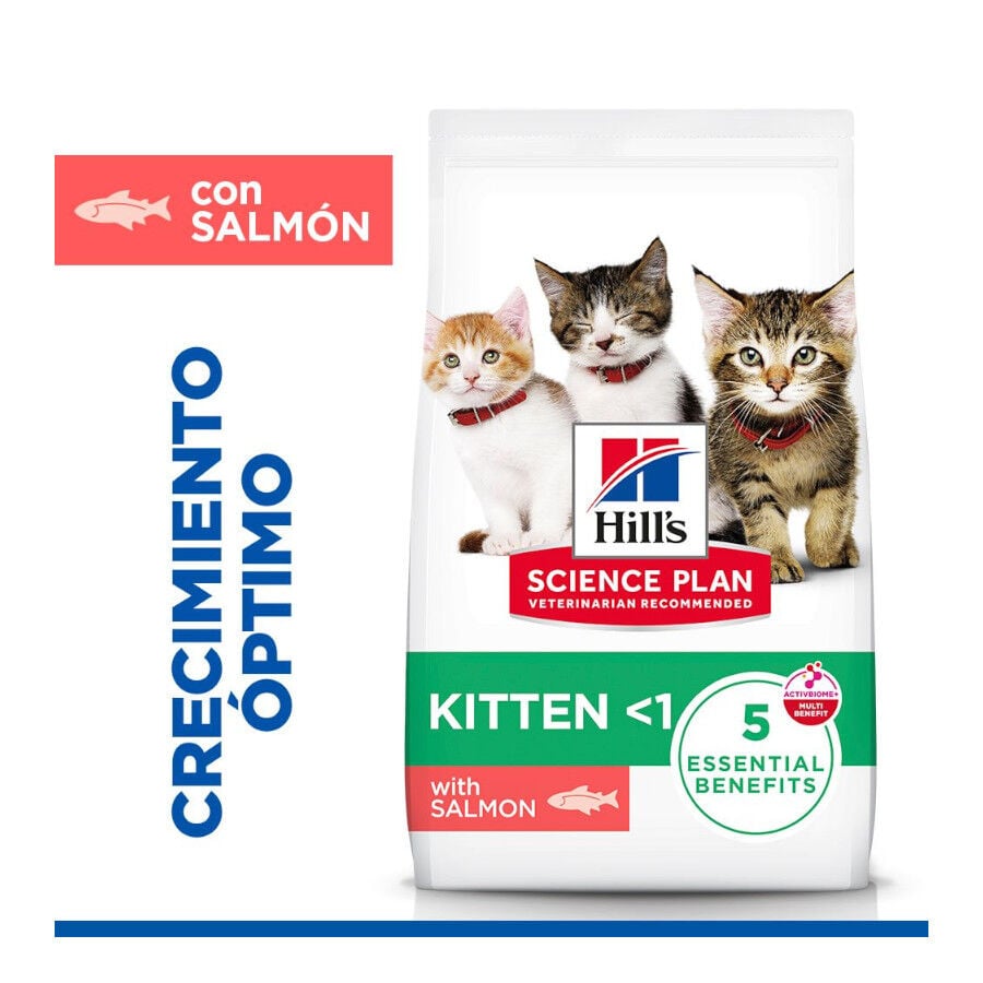 Hill's Science Plan Pienso Salm&oacute;n para gatitos