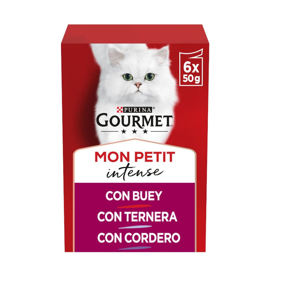 Gourmet Mon Petit Selecci&oacute;n Carnes en salsa sobre para gatos