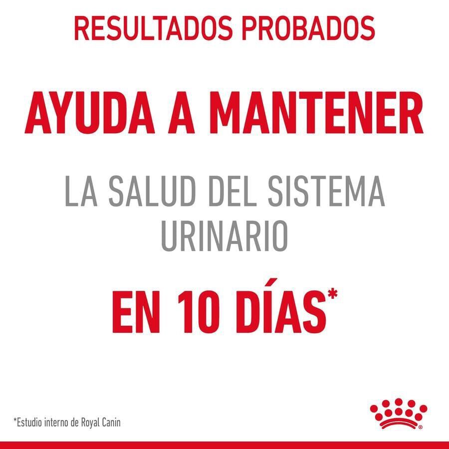 85 g Royal Canin Urinary Sobre en Salsa para gatos, , large Imagen numero 8