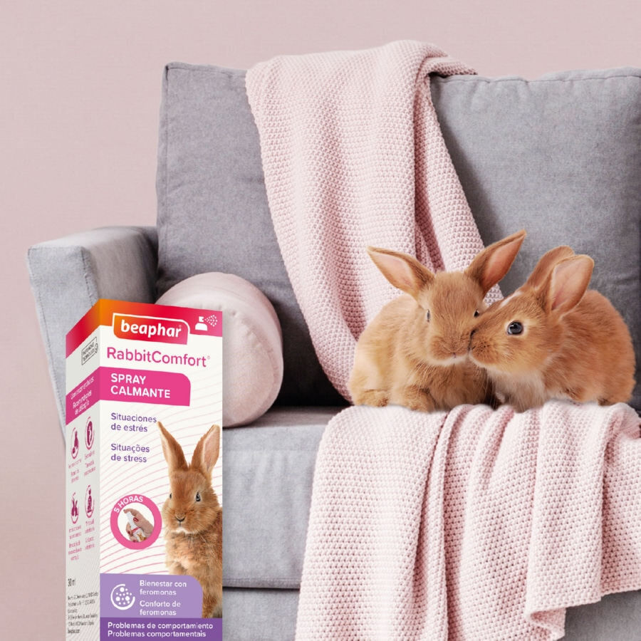 Beaphar RabbitComfort Spray Tranquilizante para conejos, , large indicador imagen numero 8
