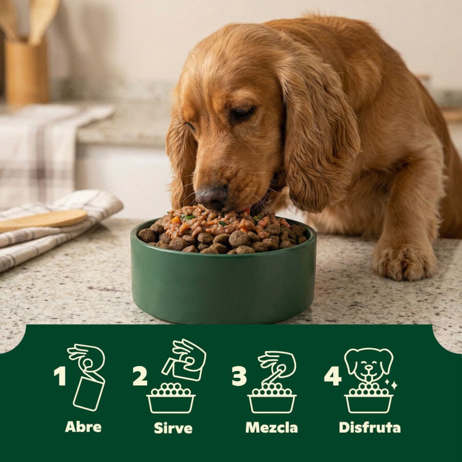 85 g Wild Balance Toppers Ternera salsa para perros, , large Imagen numero 8