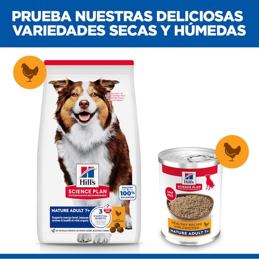 370 g Hill's Science Plan Mature 7+ Adult pollo lata para perros, , large indicador imagen numero 6