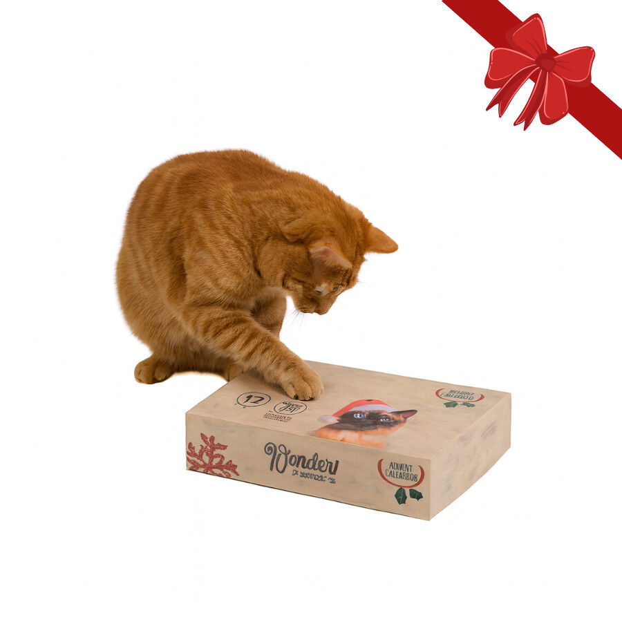 Wonder Christmas Caja Sorpresa Juguetes Navide&ntilde;os para gatos, , large indicador imagen numero 1