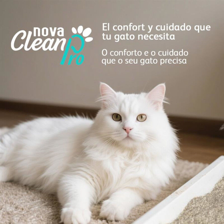 Nova Clean Pro Arena Probiotica para gatos, , large indicador imagen numero 5