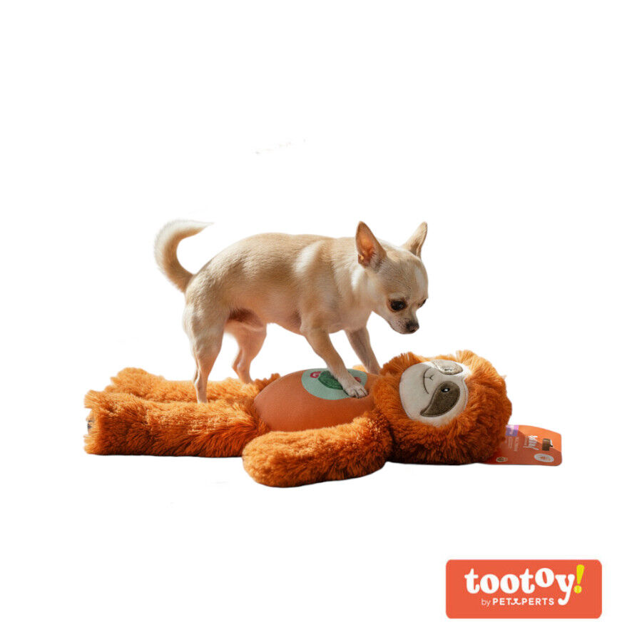 Tootoy! Perezoso Mordedor de Peluche con Sonido para perros