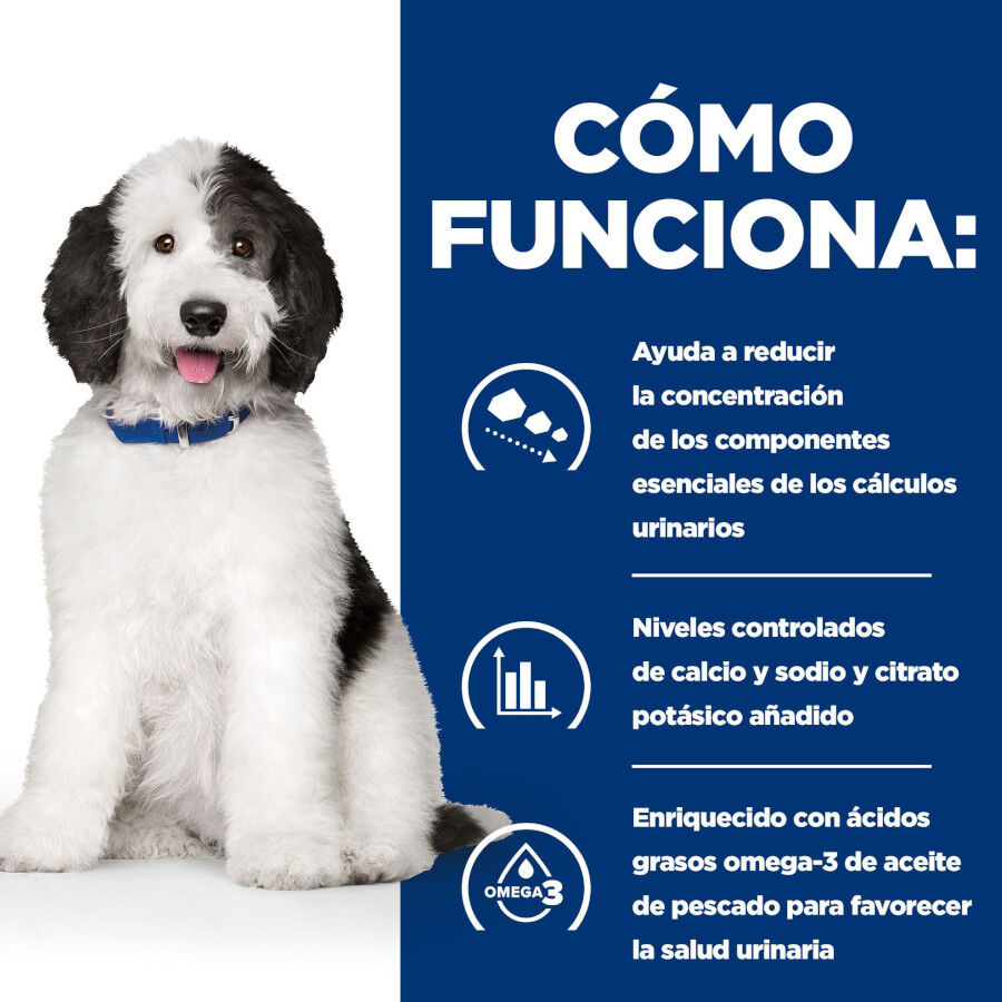 12 kg Hill's Prescription Diet Urinary Care c/d Pollo pienso para perros, , large indicador imagen numero 5
