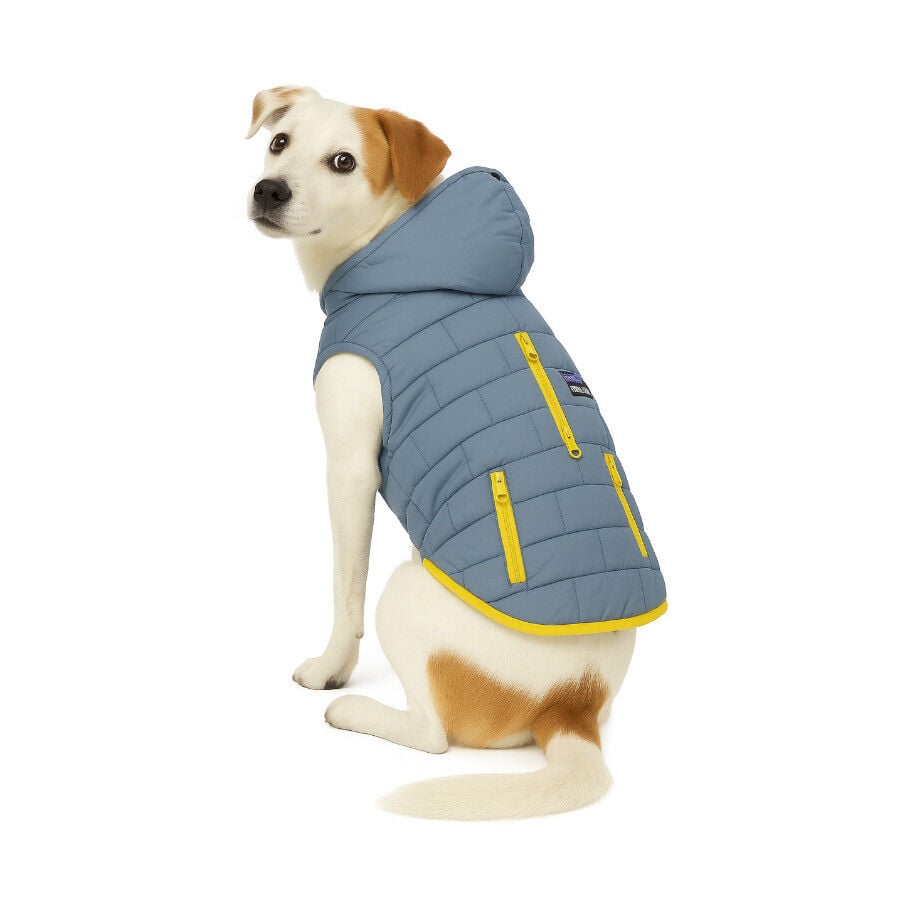 Outech Abrigo Impermeable Gris para perros, , large indicador imagen numero 1