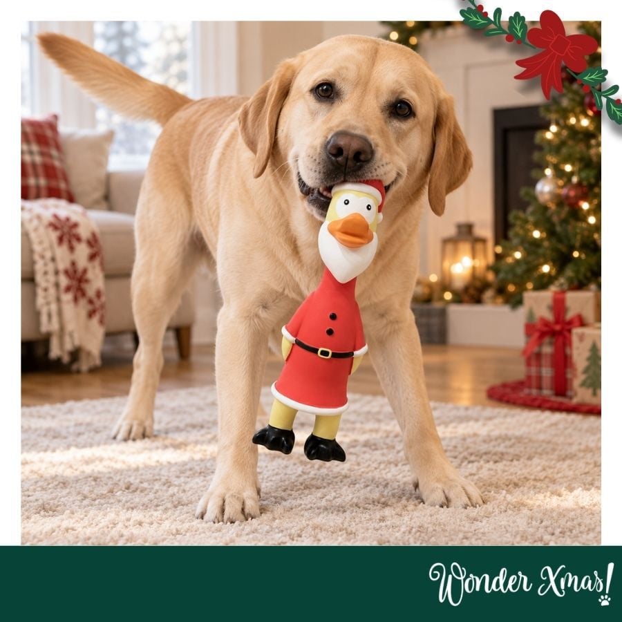 Wonder Christmas Pollo L&aacute;tex Juguete para perros, , large Imagen numero 2