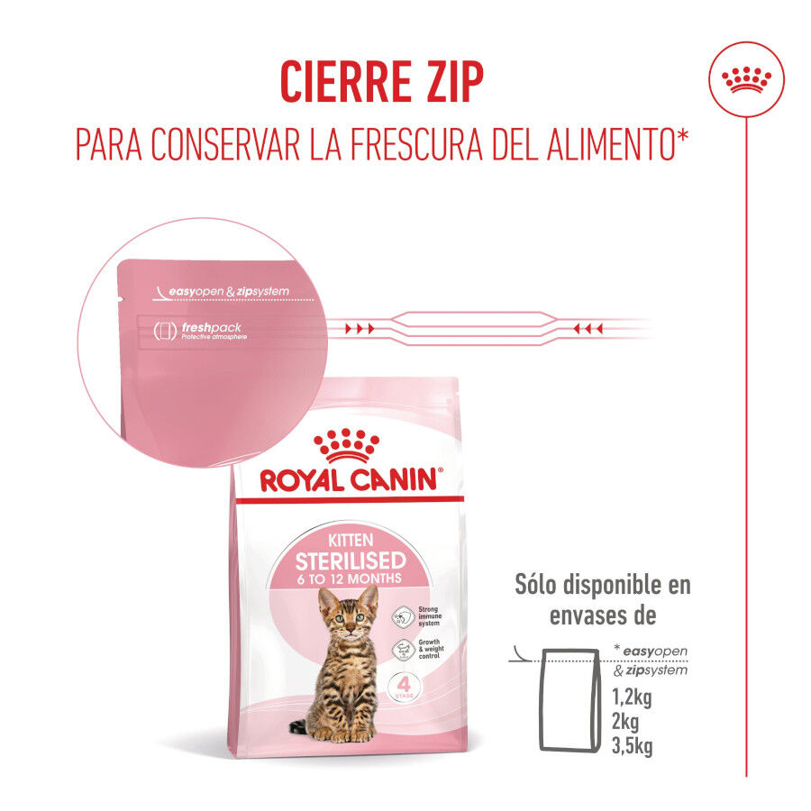 3.5 kg Royal Canin Kitten Sterilised pienso para gatos, , large indicador imagen numero 12