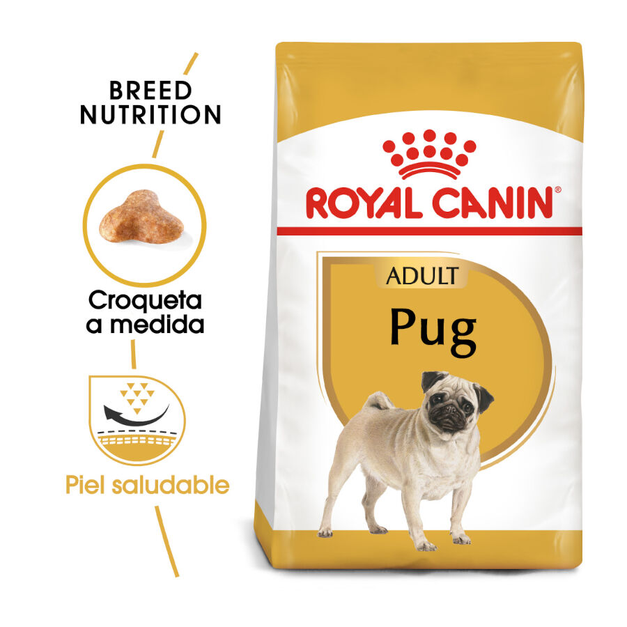 3 kg Royal Canin Adult Pug pienso para perros, , large indicador imagen numero 2