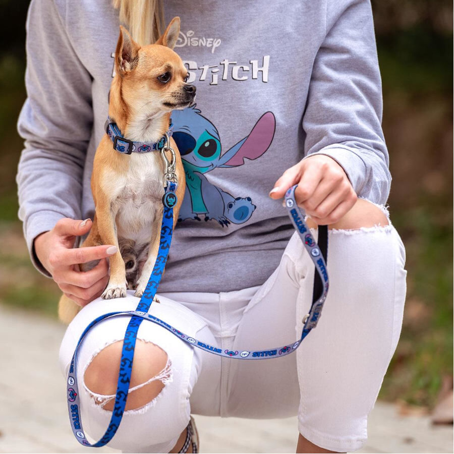 Disney Stitch Premium correa para perros, , large Imagen numero 4