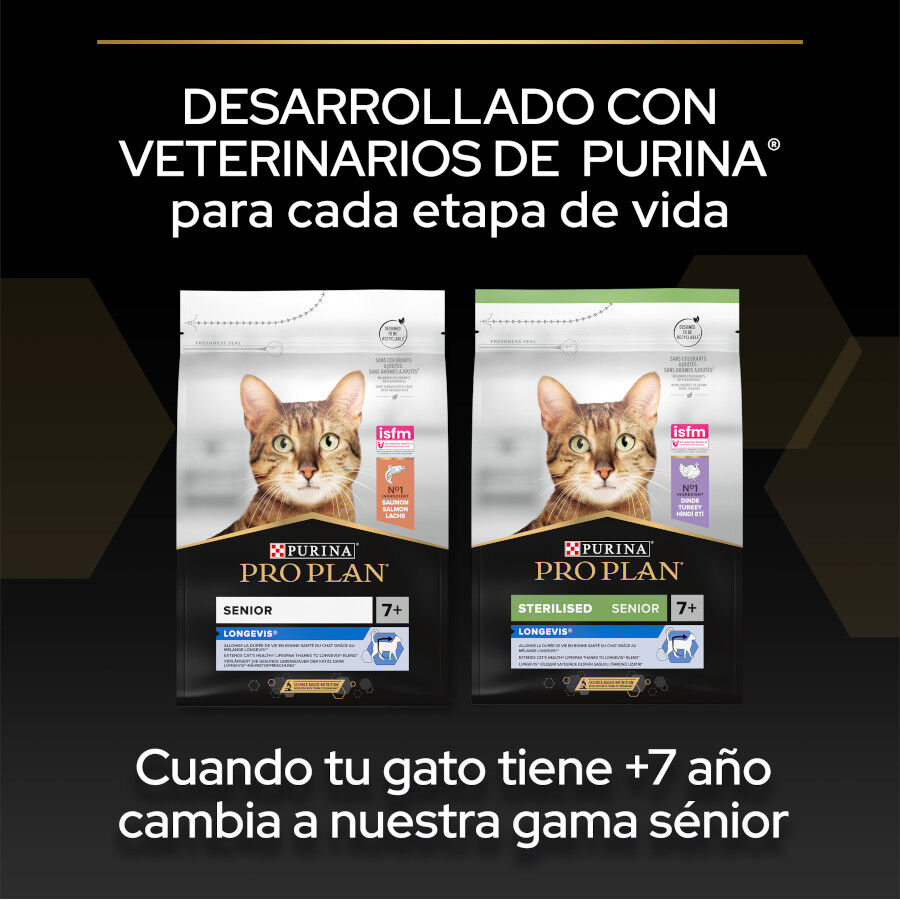 12 kg (10 + 2 kg &iexcl;gratis!) Pro Plan Adult Sterilized Pavo Pienso para gatos, , large indicador imagen numero 6