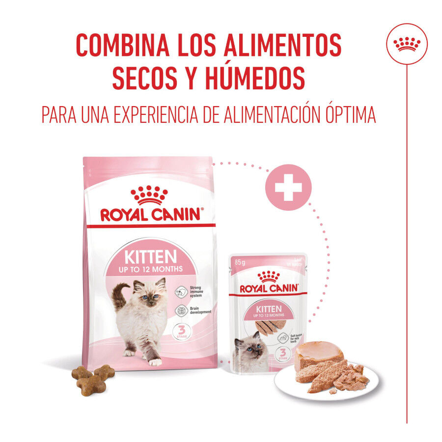 85 g Royal Canin Kitten pat&eacute; sobre para gatos, , large indicador imagen numero 5