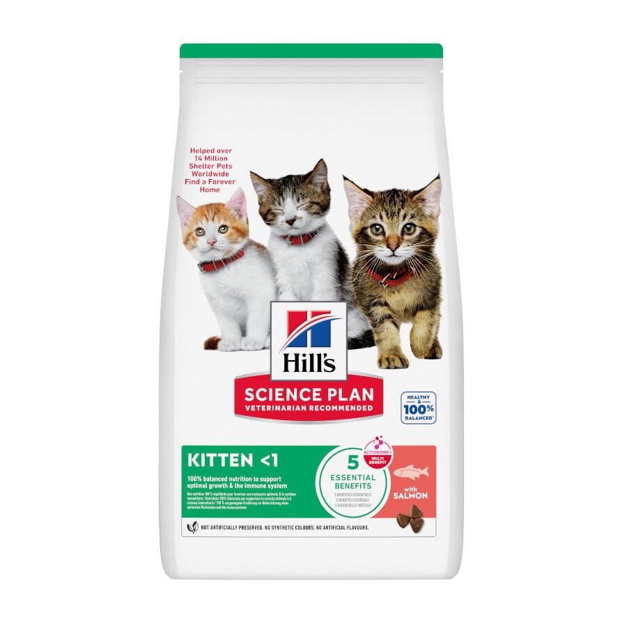 1.5 kg Hill's Science Plan Pienso Salm&oacute;n para gatitos, , large indicador imagen numero 1