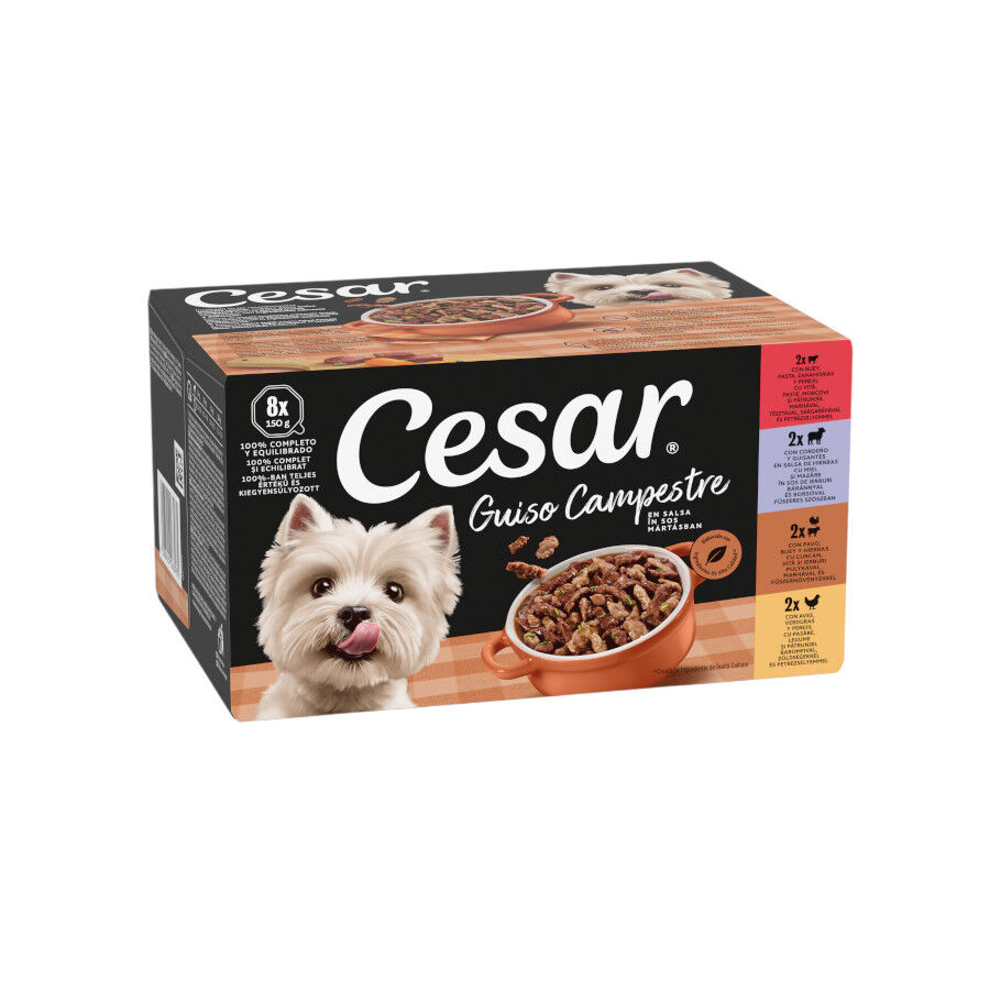 8 tarrinas x 150 g Cesar Receta campesina tarrina en Salsa para Perros , , large indicador imagen numero 1