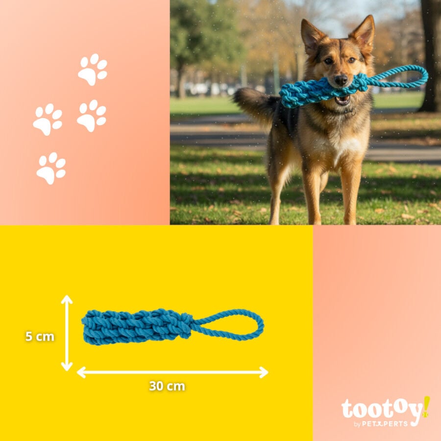 Tootoy! Mordedor de Cuerda Azul para perros, , large indicador imagen numero 4
