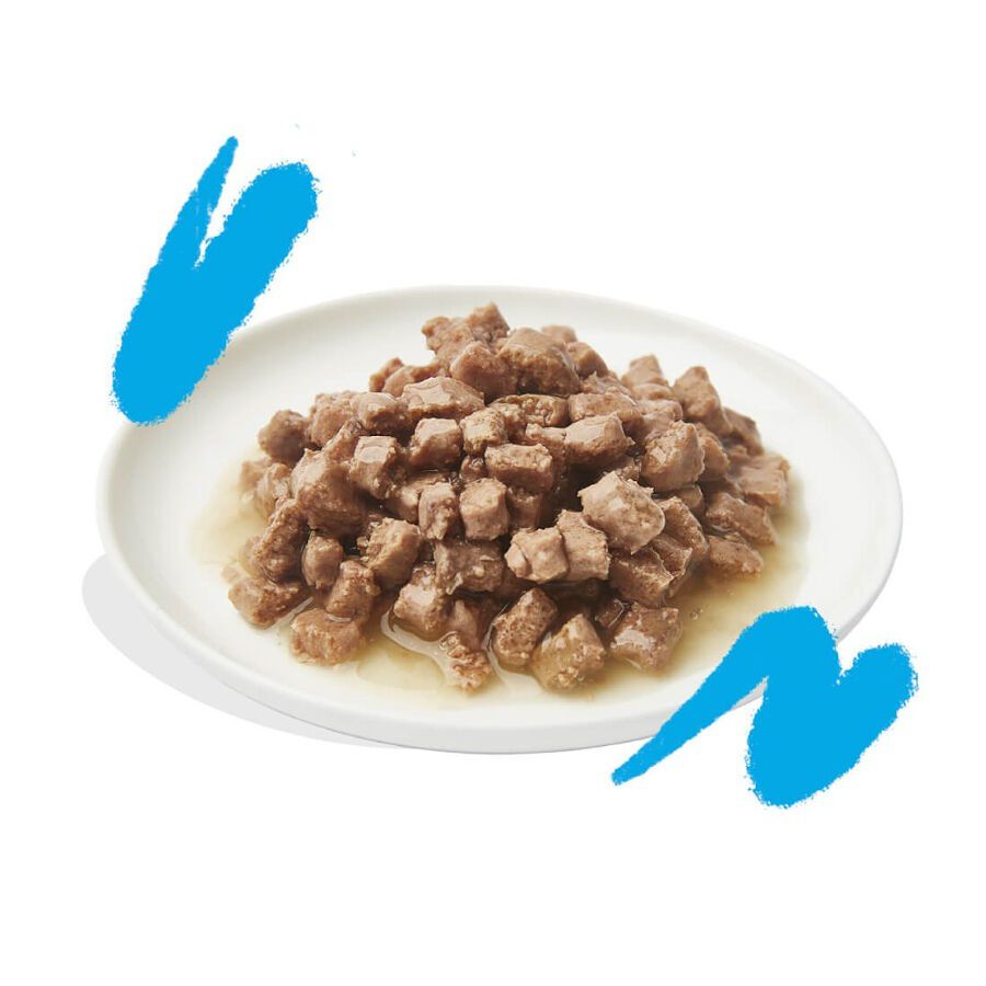 85 g Edgard & Cooper Adult Trocitos de Salm&oacute;n y Pollo en Salsa lata para gatos, , large Imagen numero 2