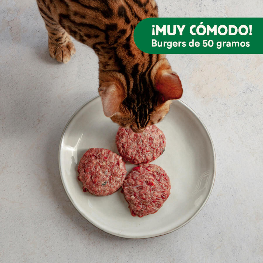 1 kg Wild Balance Men&uacute; Barf salm&oacute;n pavo y verduras comida congelada para gatos, , large indicador imagen numero 5