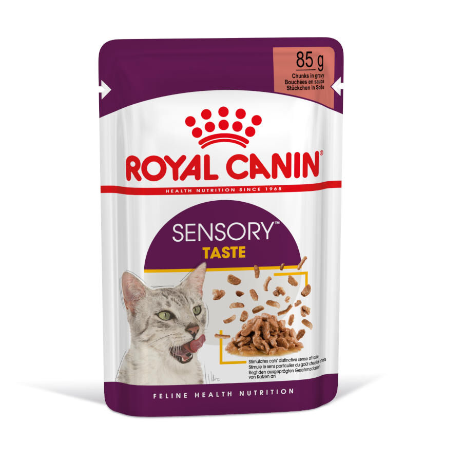 85 g Royal Canin Adult Sensory Taste salsa sobre para gatos, , large Imagen numero 2