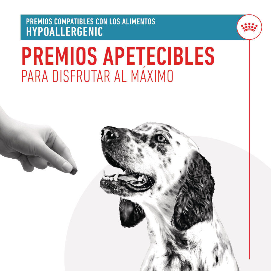 230 g Royal Canin Treats Hypoallergenic Snacks para perros, , large Imagen numero 6
