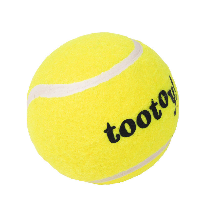 Tootoy! Chase Squeaker Ball pelota de tenis para perros, , large Imagen numero 2