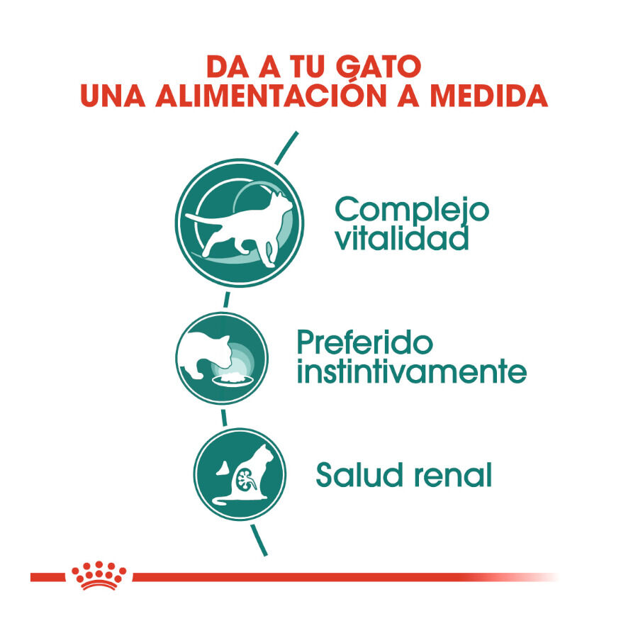 85 g Royal Canin Senior 7+ Instinctive sobres para gatos, , large Imagen numero 5