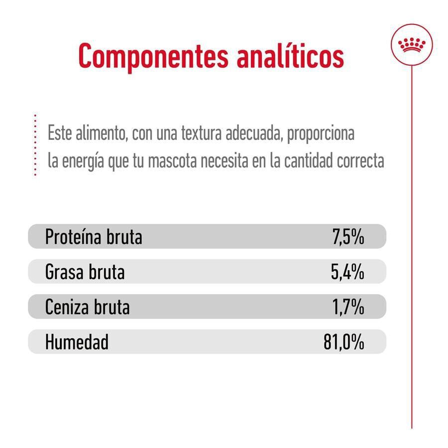 140 g Royal Canin Medium Adult Sobre en salsa para perros, , large indicador imagen numero 6